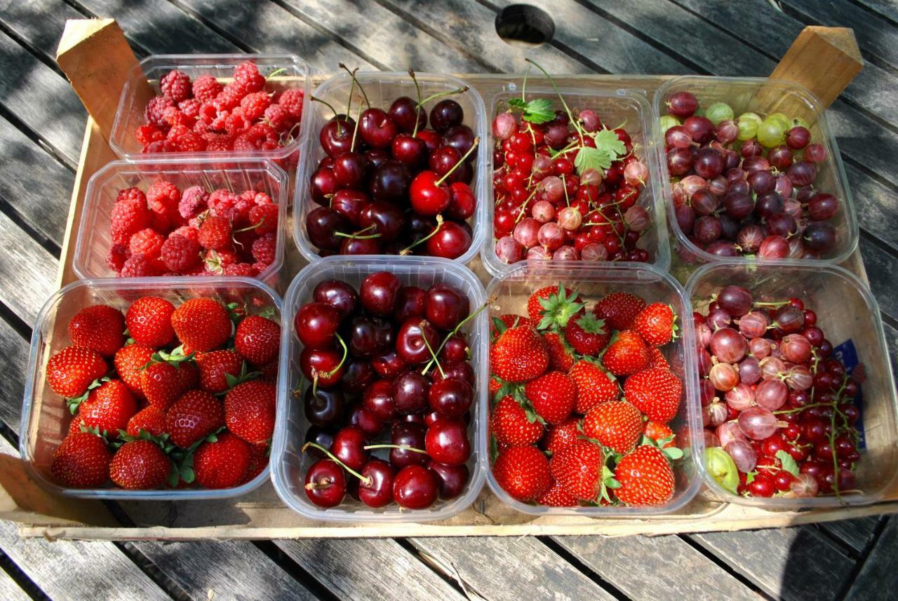 De Notelaar Kortessem Екстериор снимка